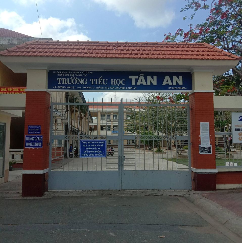 trường tiểu học Tân An